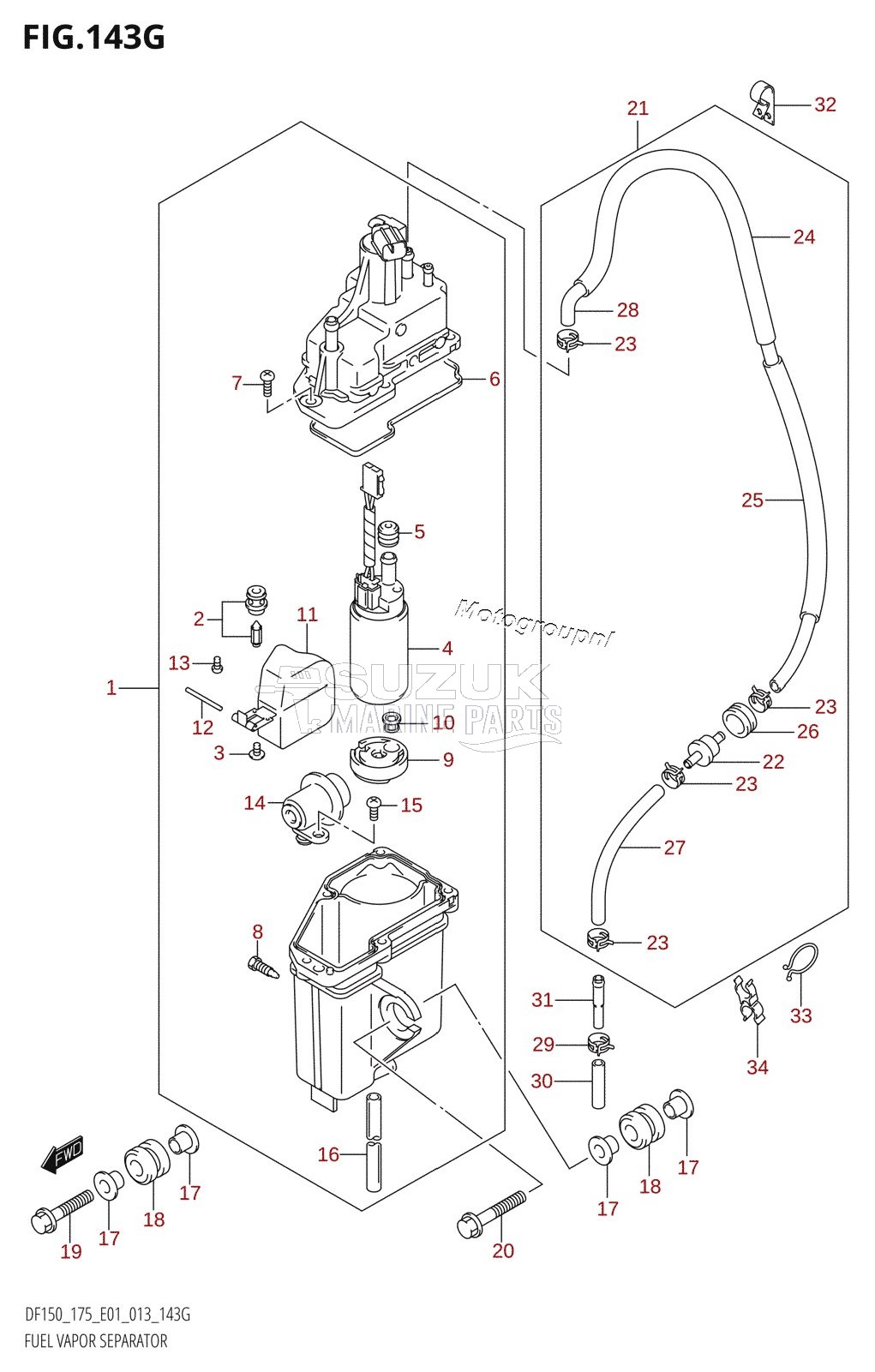 FUEL VAPOR SEPARATOR (DF175Z:E01)