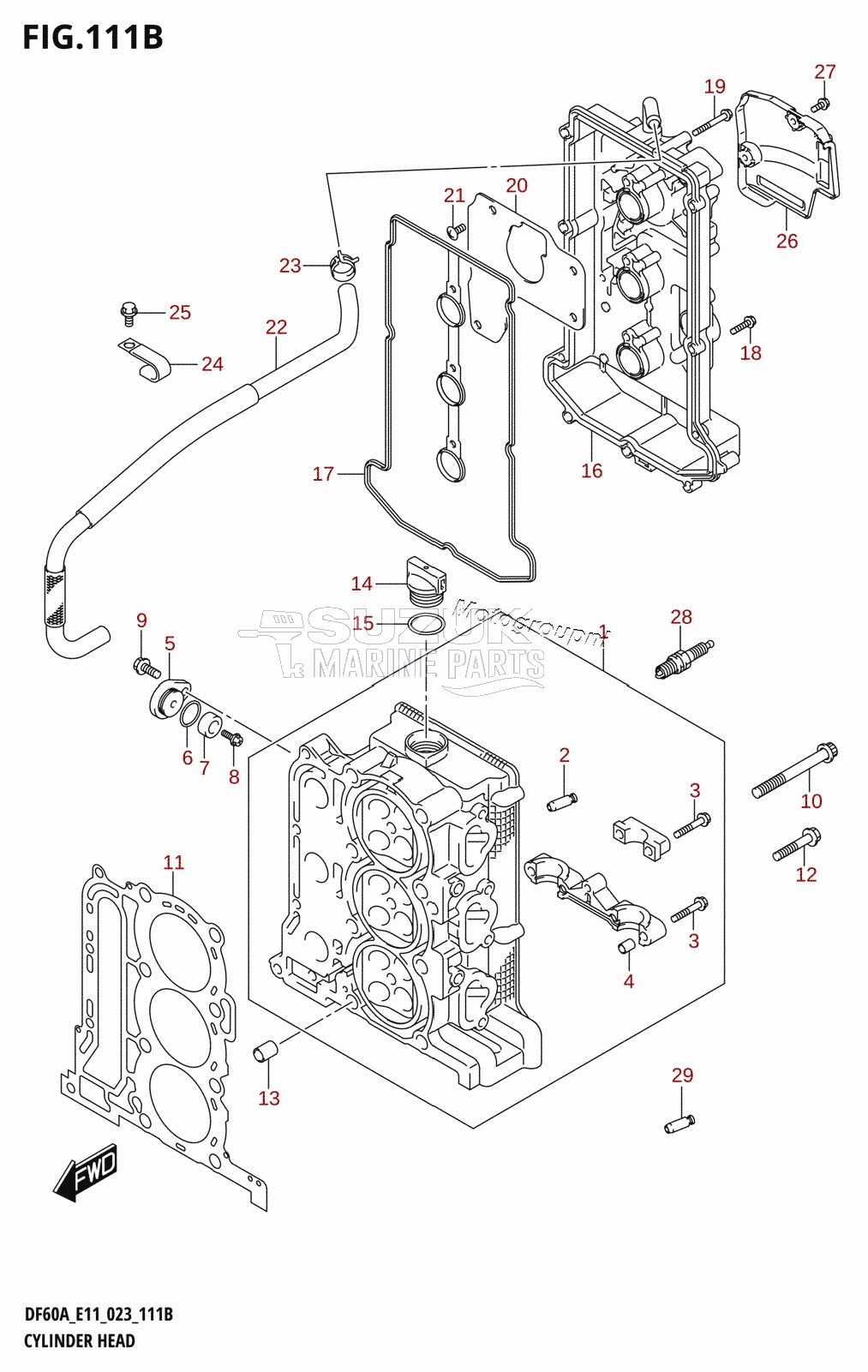 CYLINDER HEAD ((020,021):(DF40AST,DF60A,DF60AQH,DF60ATH,DF60AVT,DF40ASVT,DF60AVTH))