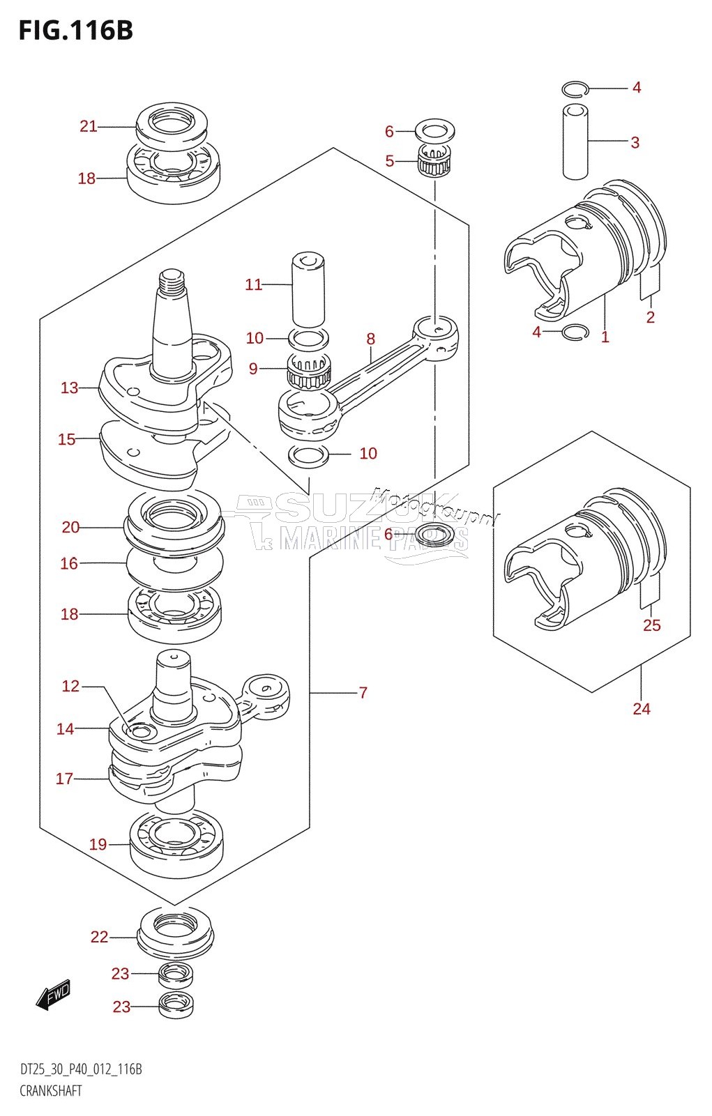 CRANKSHAFT (DT30:P40)