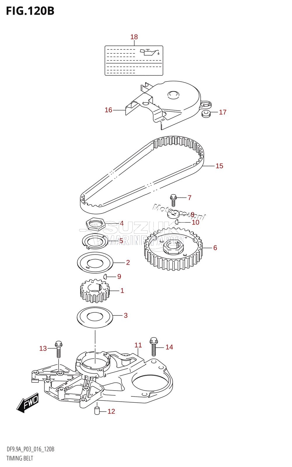 TIMING BELT (DF8AR:P03)