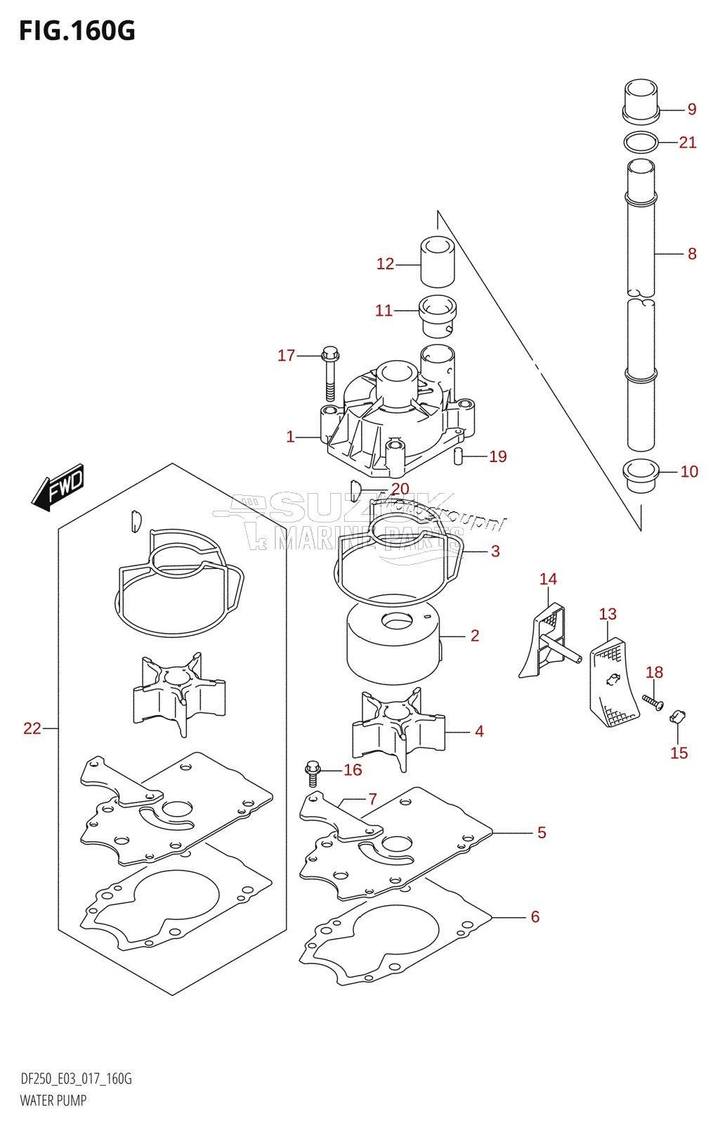 WATER PUMP (DF250ST:E03)