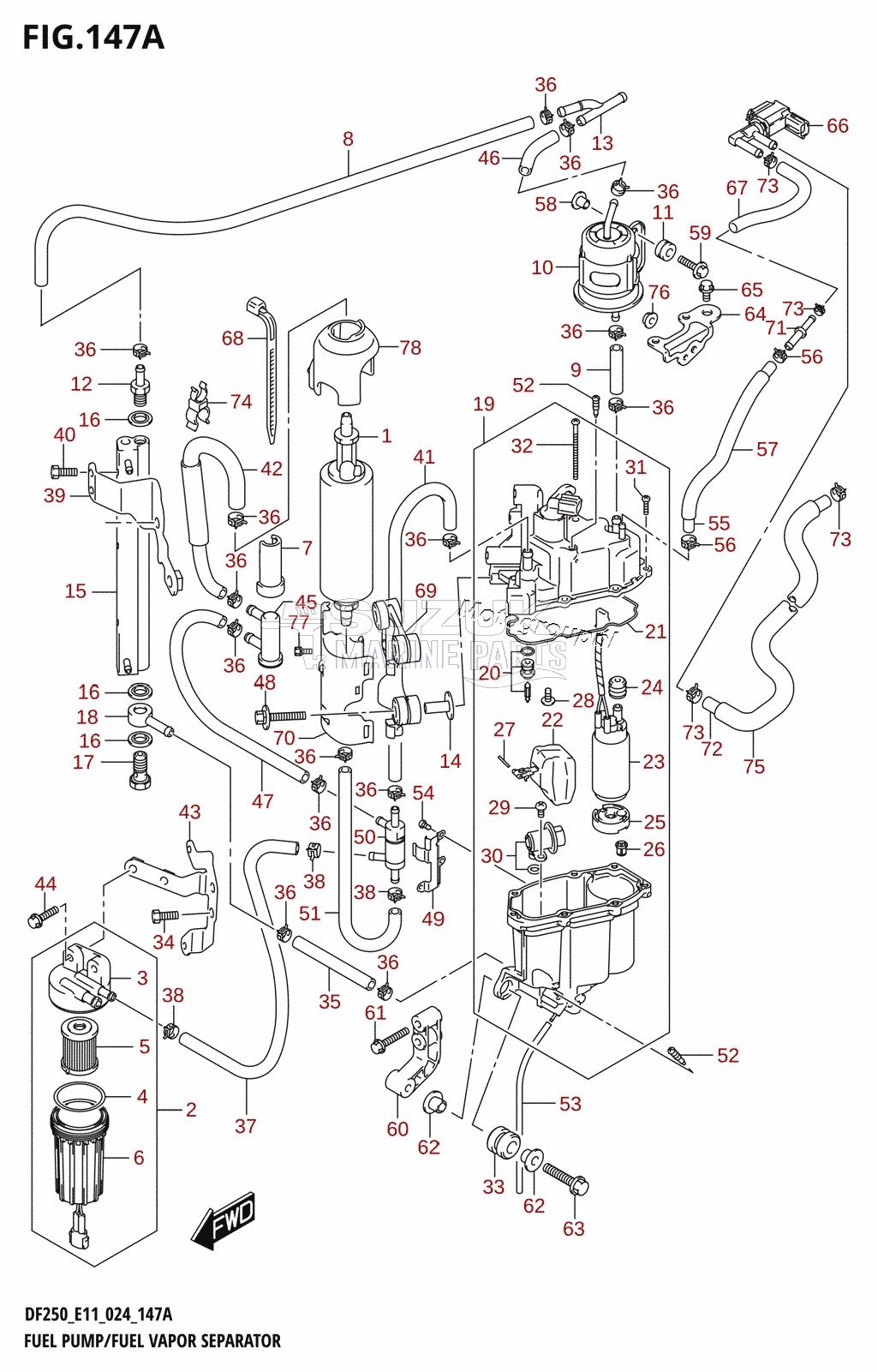 FUEL PUMP /​ FUEL VAPOR SEPARATOR (DF200T,DF200Z,DF225T,DF225Z,DF250T,DF250Z)