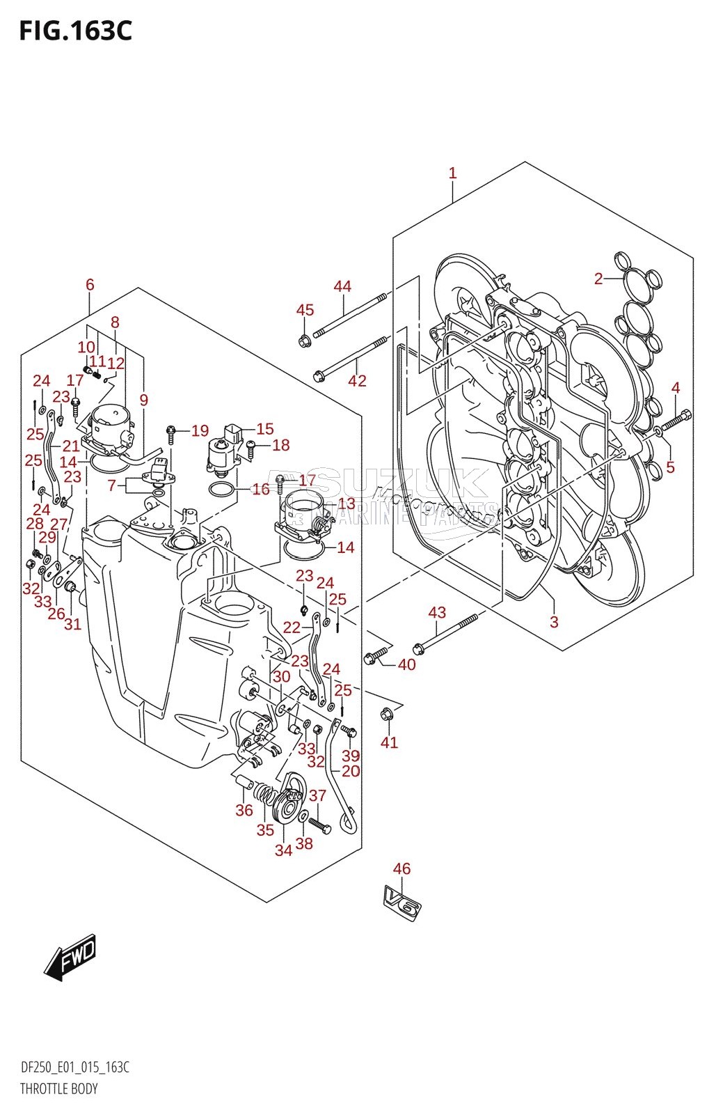 THROTTLE BODY (DF200Z:E01)