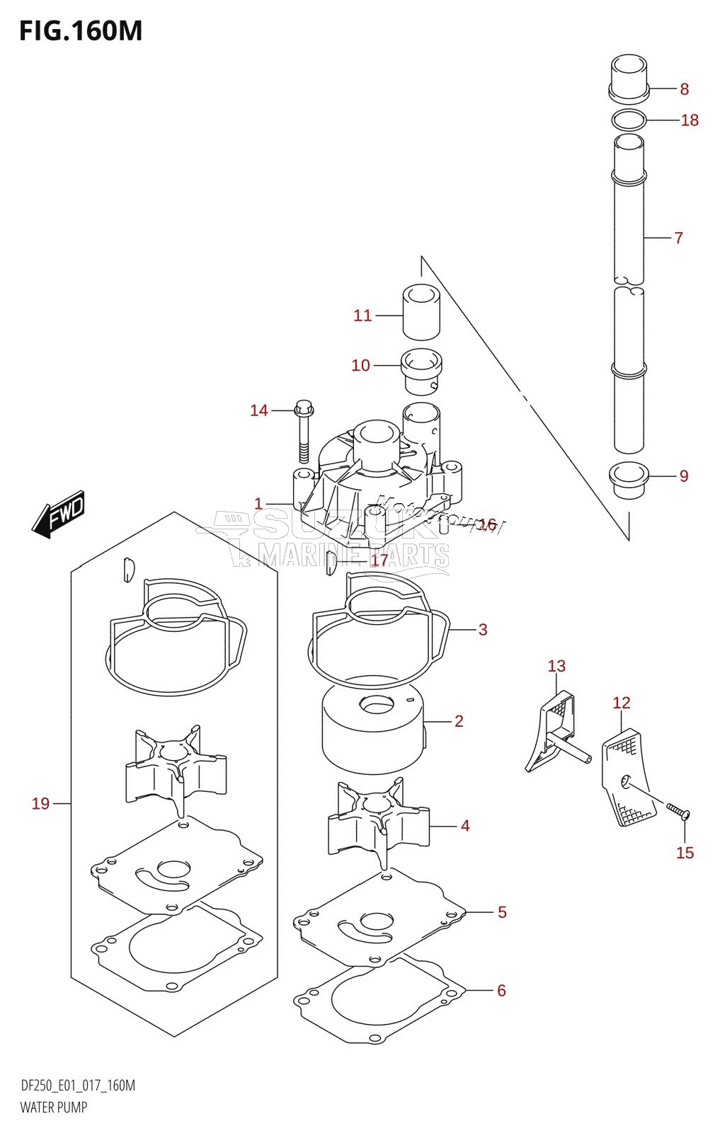 WATER PUMP (DF250Z:E40)