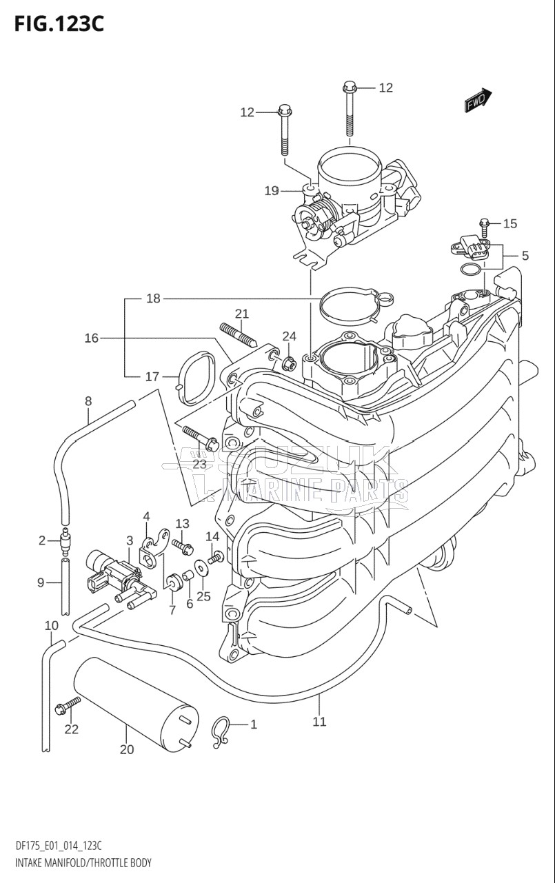 INTAKE MANIFOLD / THROTTLE BODY (DF150TG:E01)