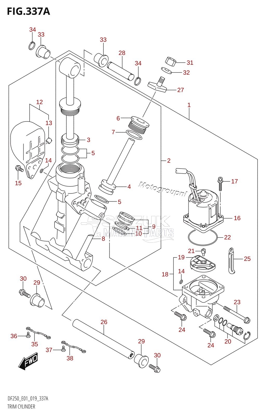 TRIM CYLINDER (L-TRANSOM)