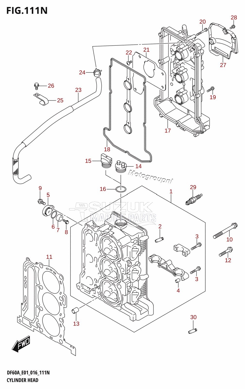 CYLINDER HEAD (DF50AVT:E01)