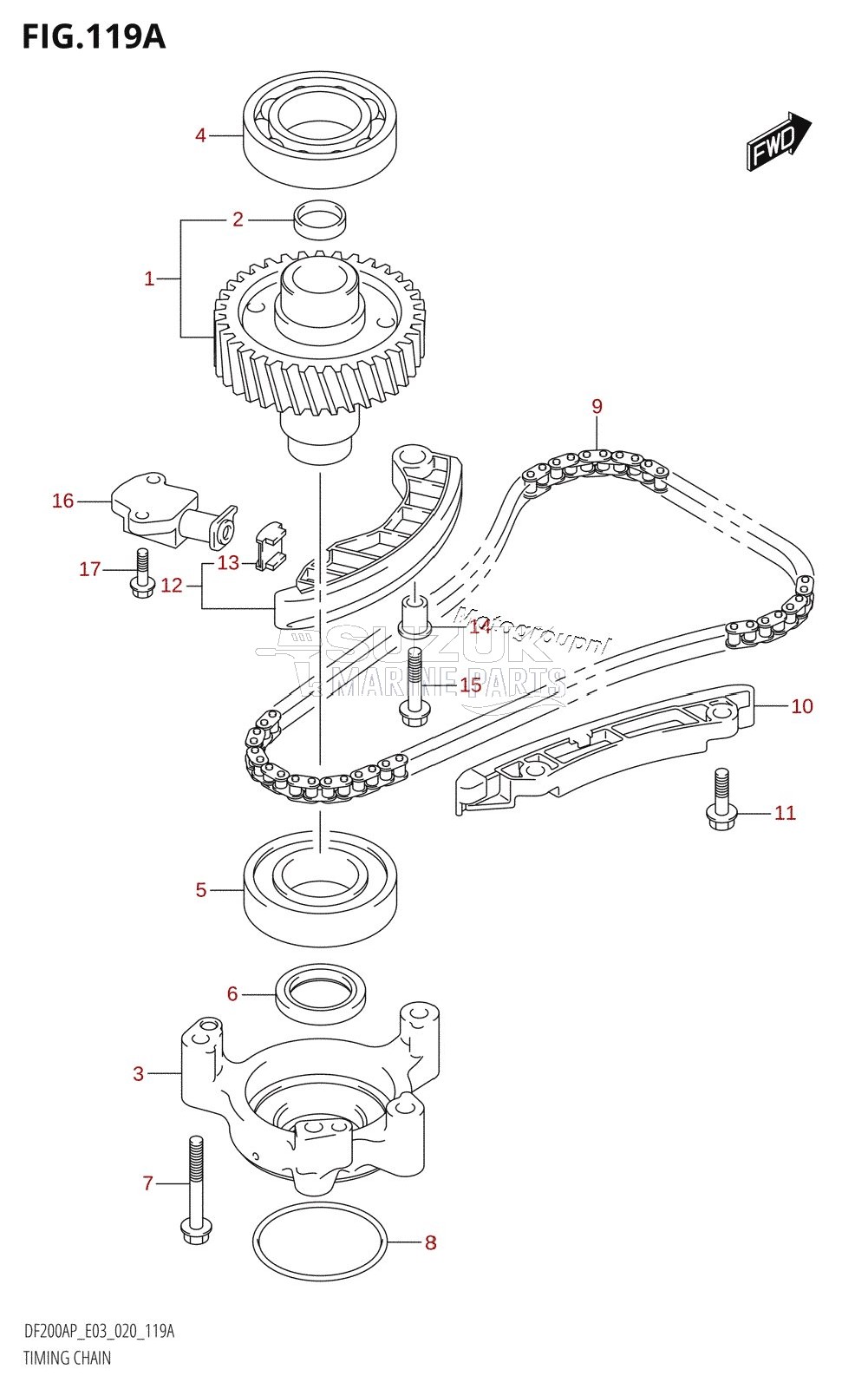 TIMING CHAIN