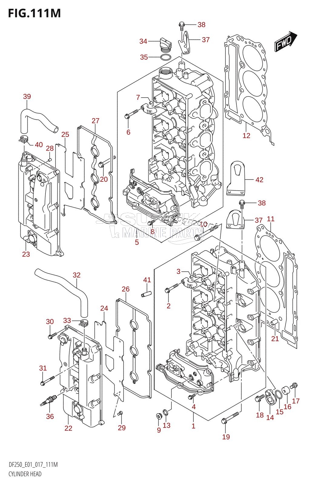 CYLINDER HEAD (DF250Z:E40)