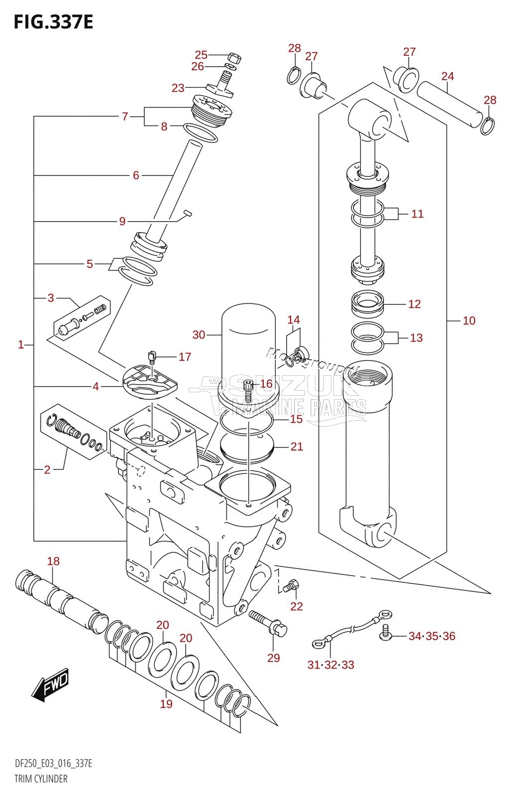 TRIM CYLINDER (DF250T:E03:(X-TRANSOM,XX-TRANSOM))