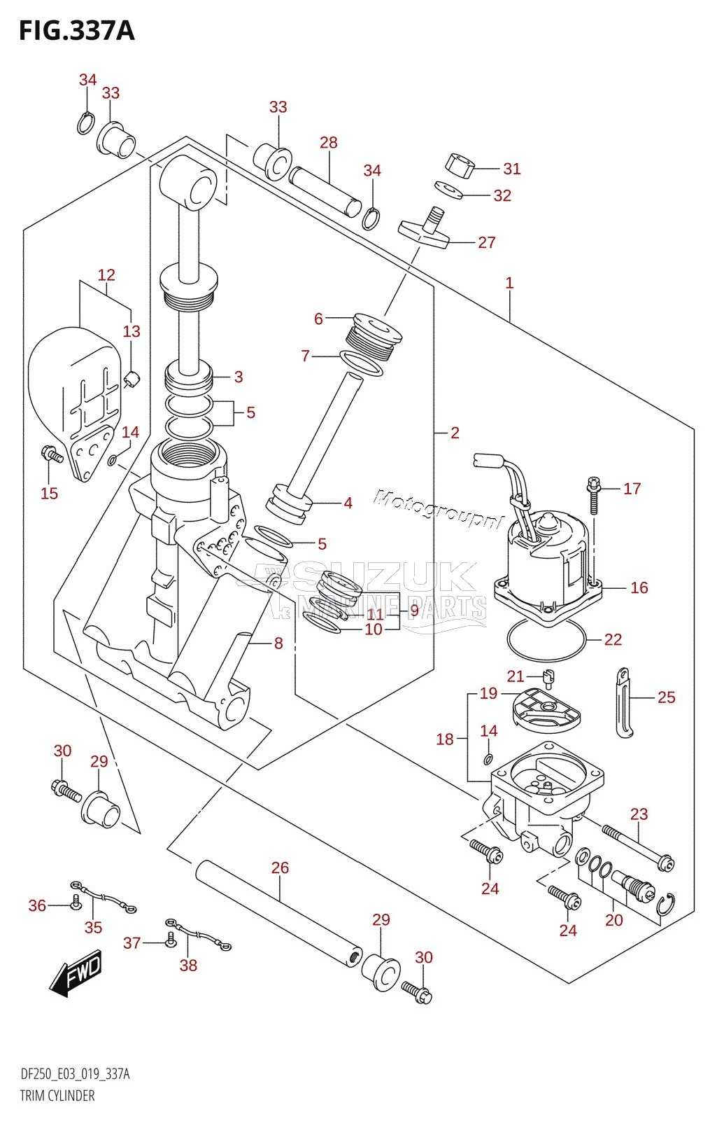 TRIM CYLINDER (L-TRANSOM)