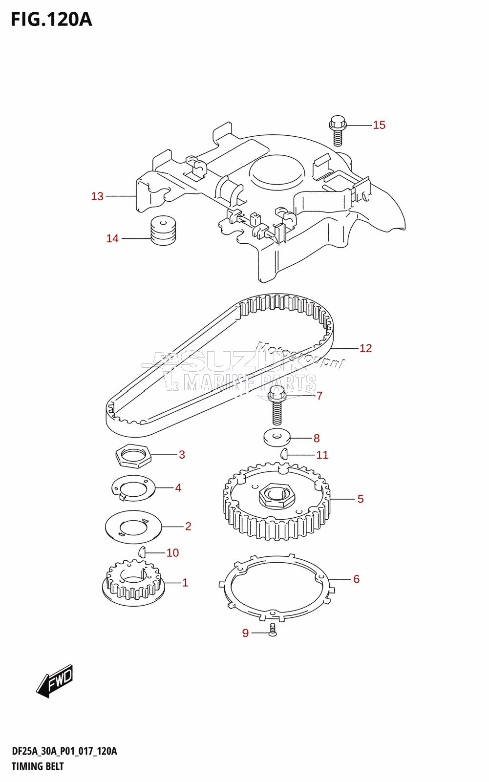 TIMING BELT