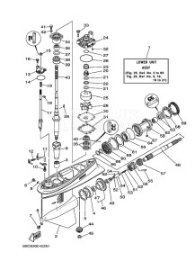 F80CEDL drawing LOWER-CASING-x-DRIVE-1