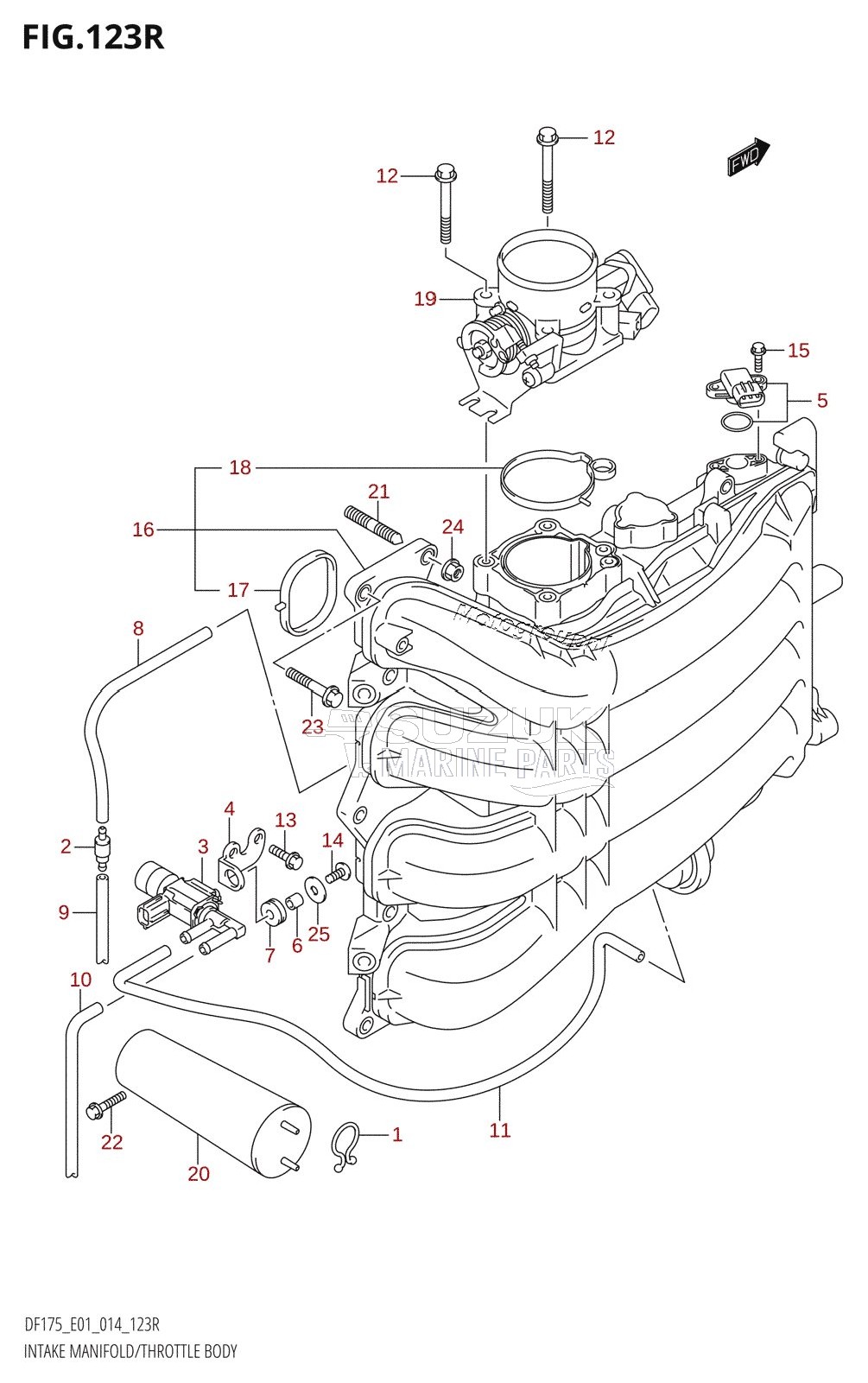 INTAKE MANIFOLD /​ THROTTLE BODY (DF175ZG:E01)