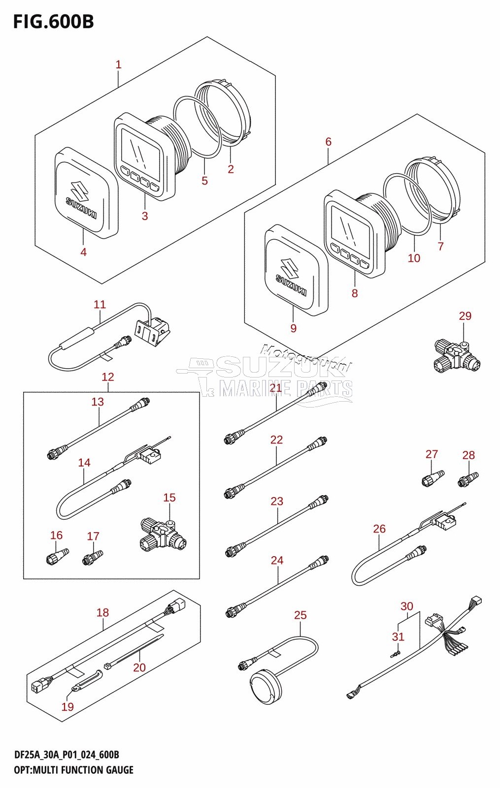 OPT:MULTI FUNCTION GAUGE (DF30A)