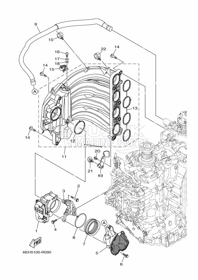 INTAKE-1