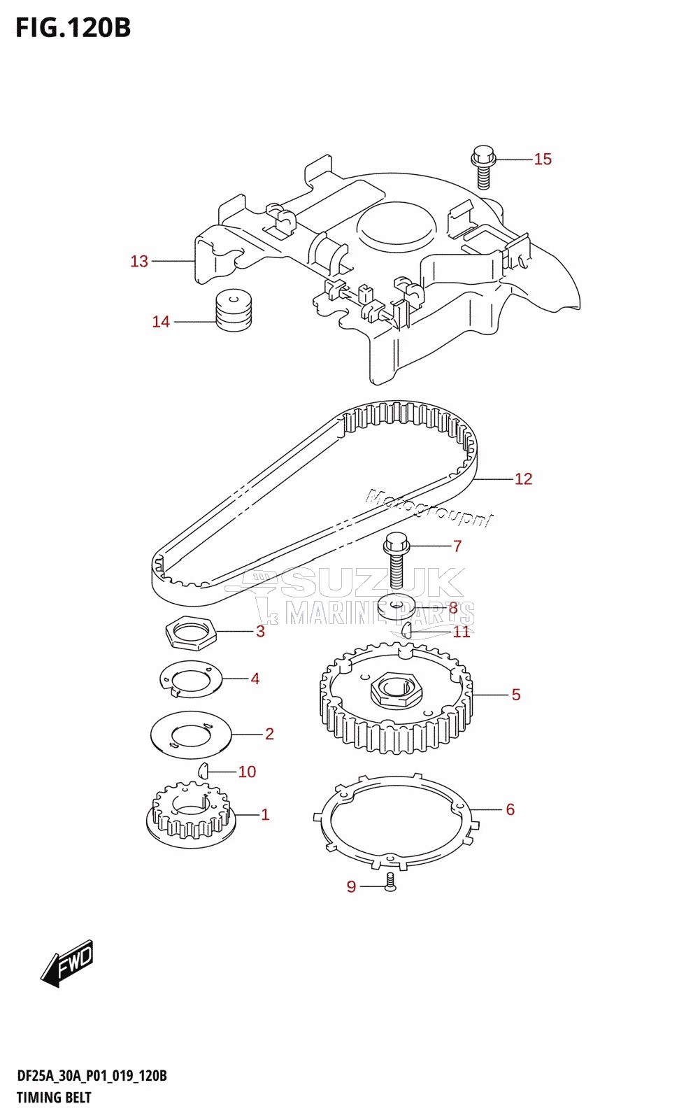 TIMING BELT (DF30A,DF30AR,DF30AT,DF30ATH,DF30AQ)