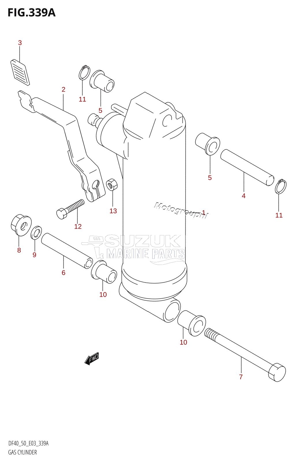 GAS CYLINDER ((DF40QH,DF50QH):(X,Y))