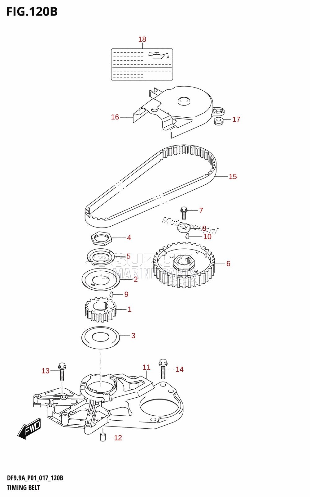 TIMING BELT (DF8AR:P01)