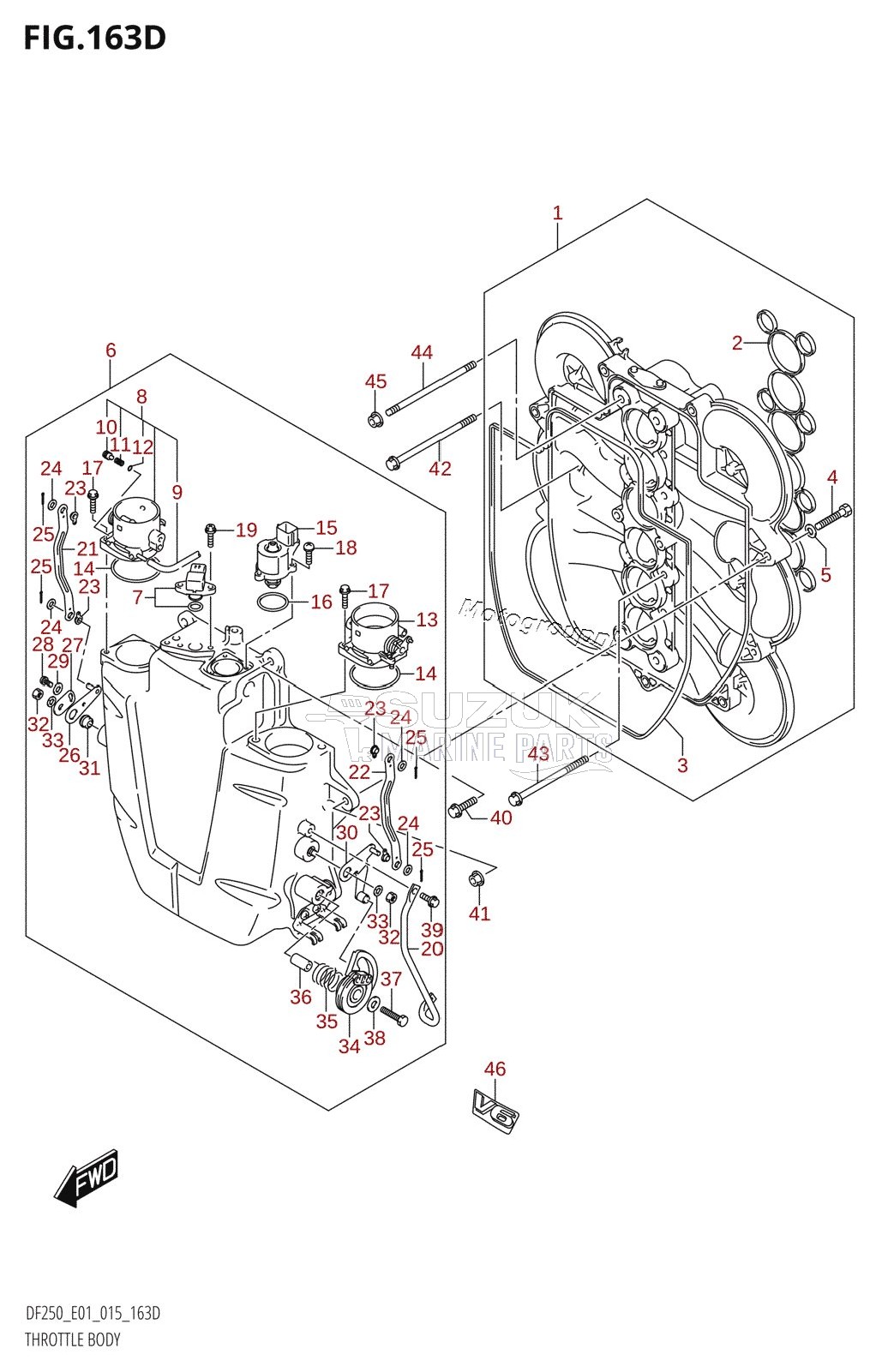 THROTTLE BODY (DF200Z:E40)