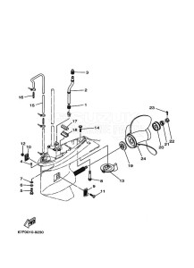 F80AETL drawing LOWER-CASING-x-DRIVE-2