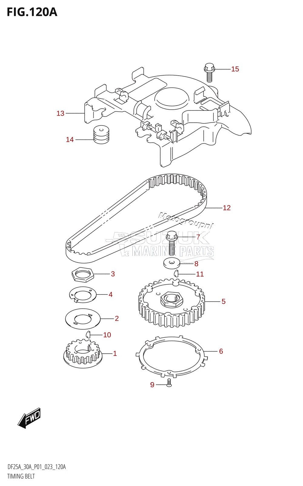 TIMING BELT