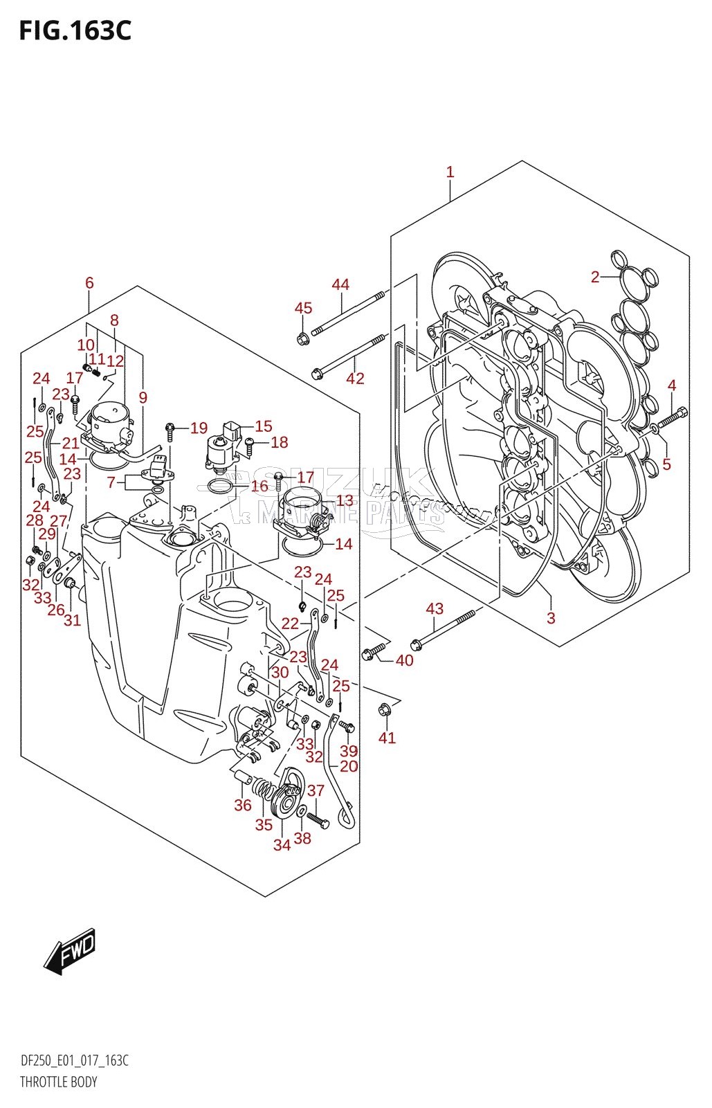 THROTTLE BODY (DF200Z:E01)