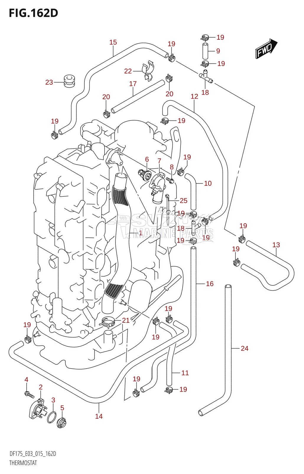 THERMOSTAT (DF150ZG:E03)