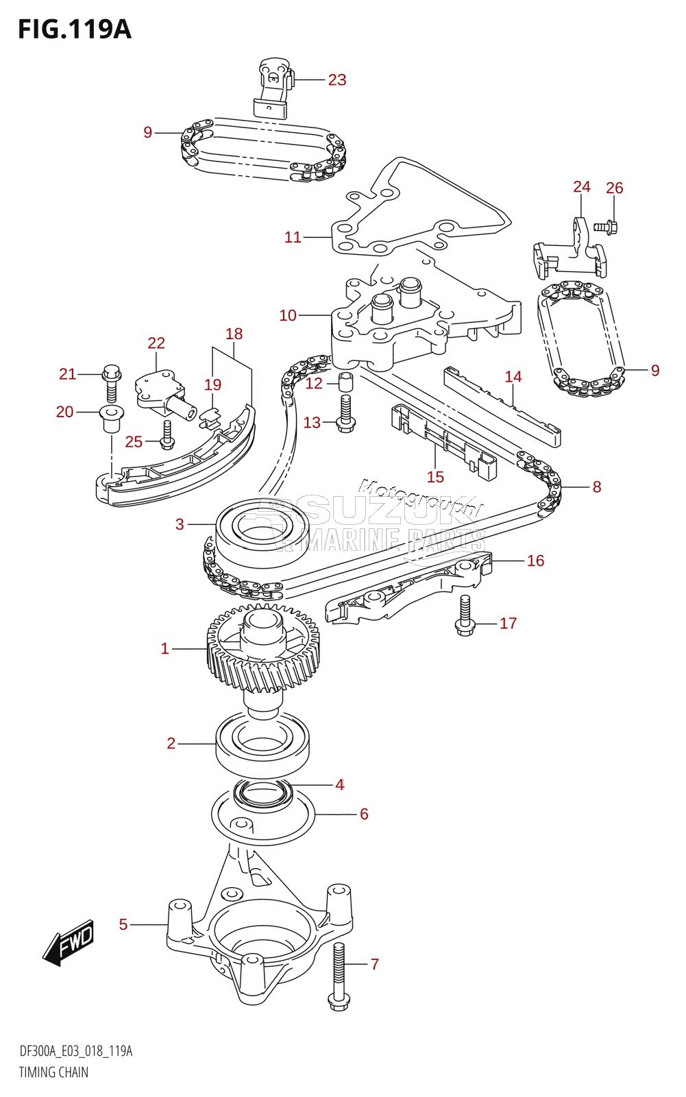 TIMING CHAIN