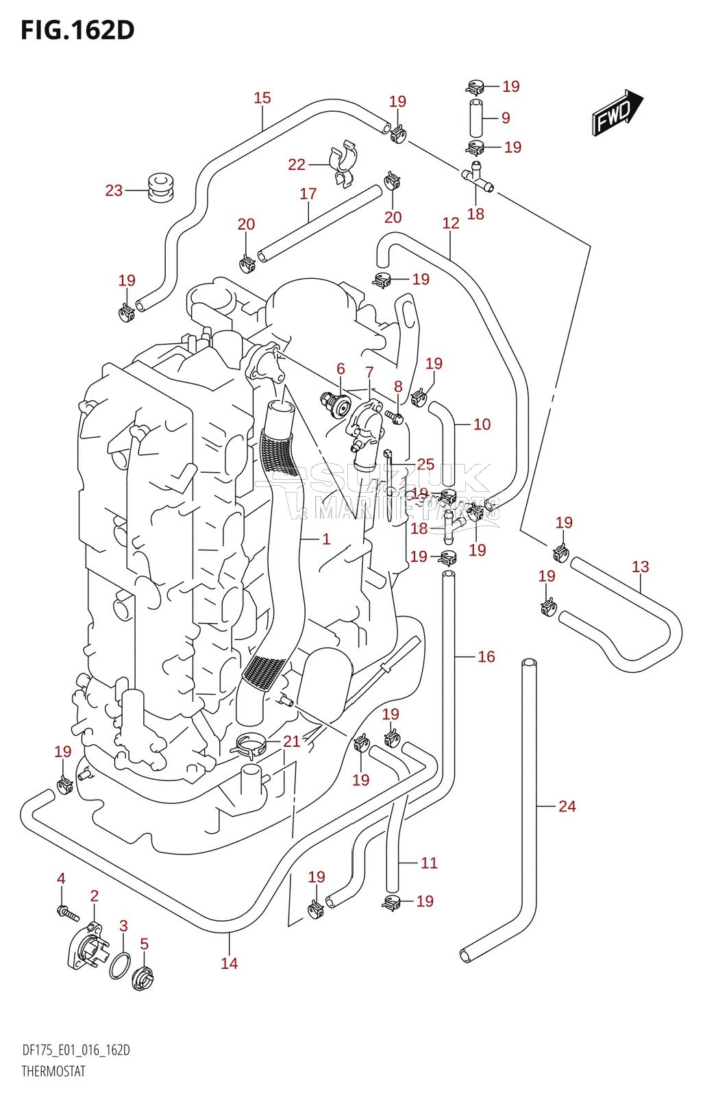 THERMOSTAT (DF150TG:E40)