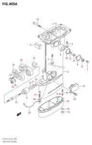 DT30 From 03001-980001 ()  2009 drawing DRIVE SHAFT HOUSING