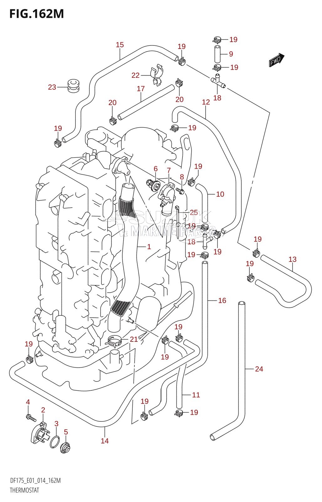 THERMOSTAT (DF175TG:E40)