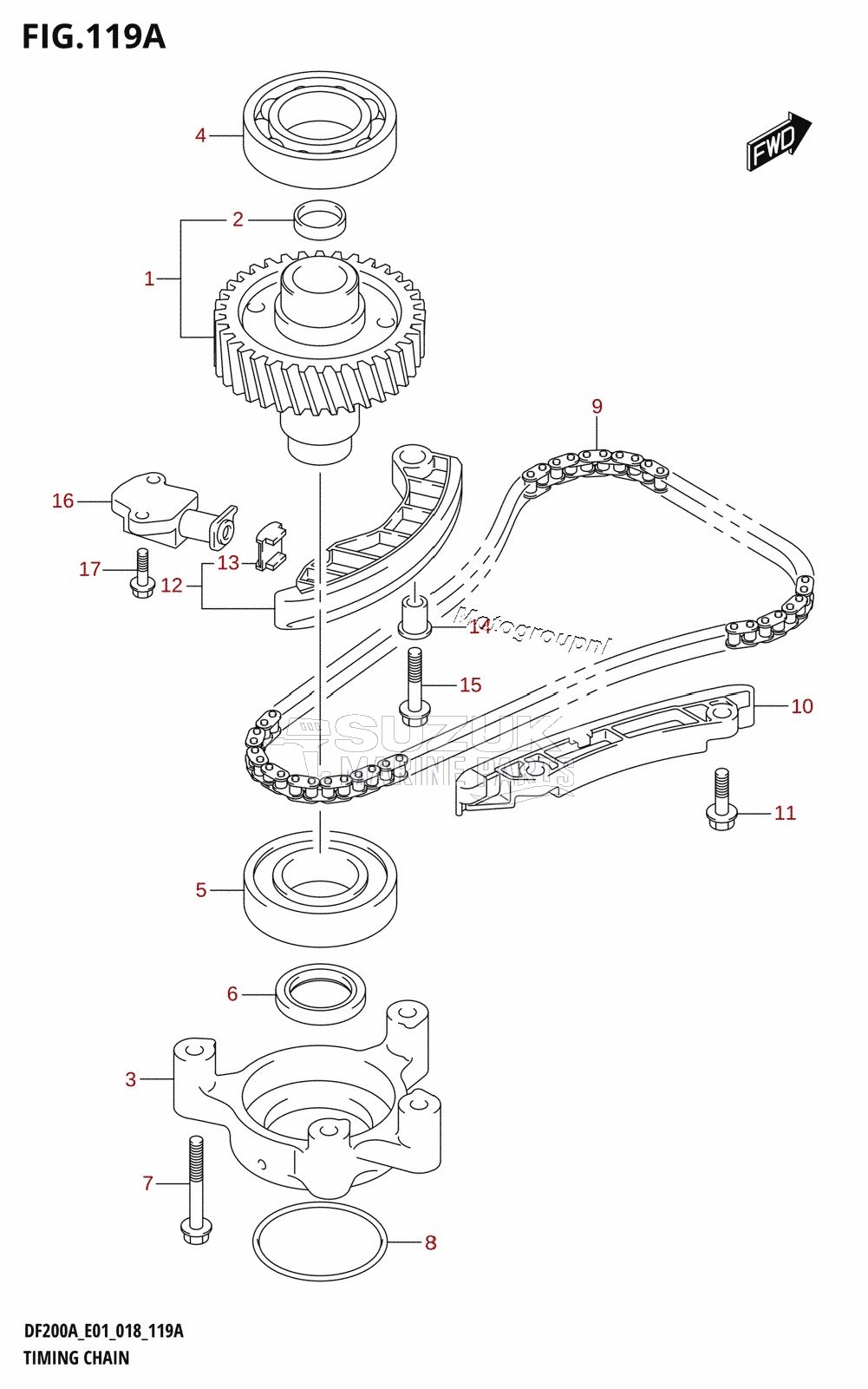 TIMING CHAIN