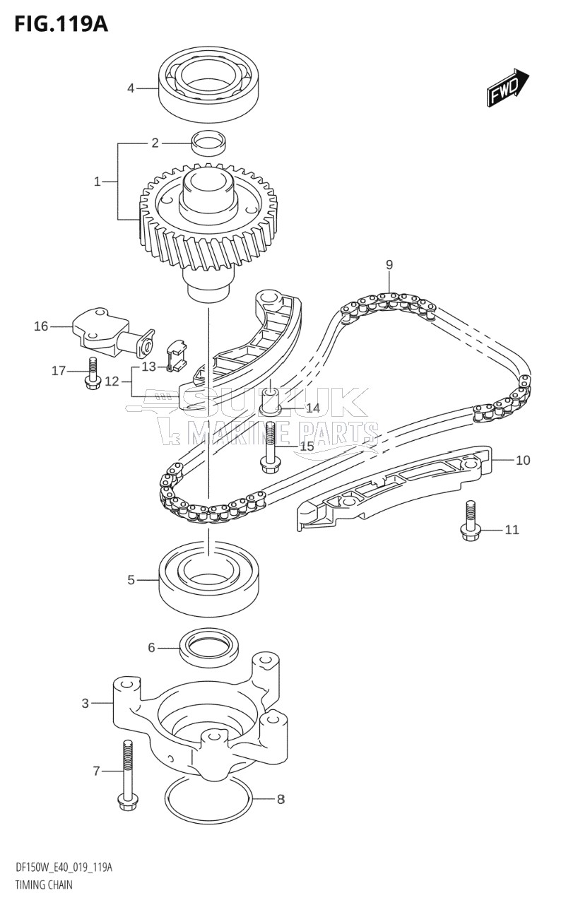 TIMING CHAIN