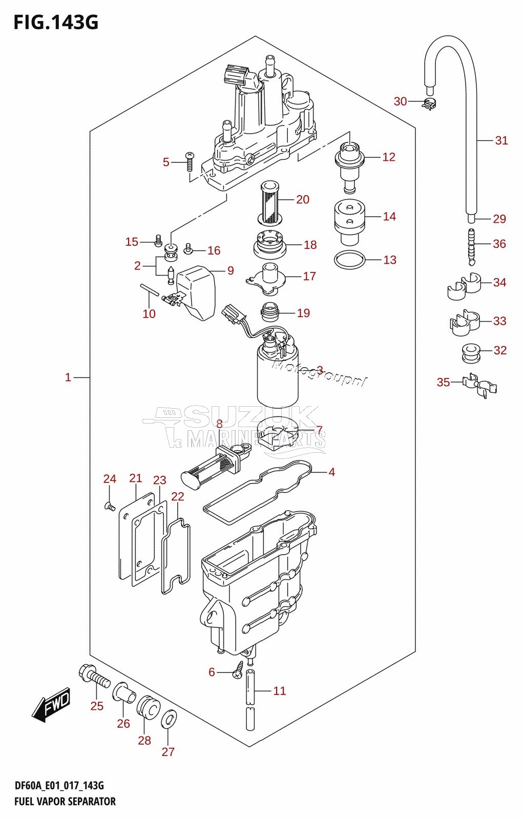 FUEL VAPOR SEPARATOR (DF60A:E01)