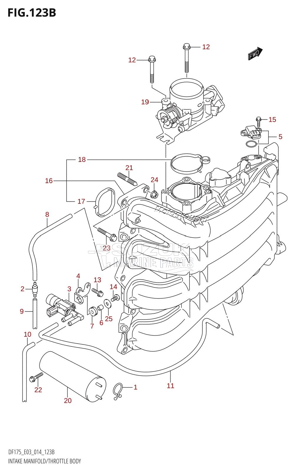 INTAKE MANIFOLD /​ THROTTLE BODY (DF150TG:E03)