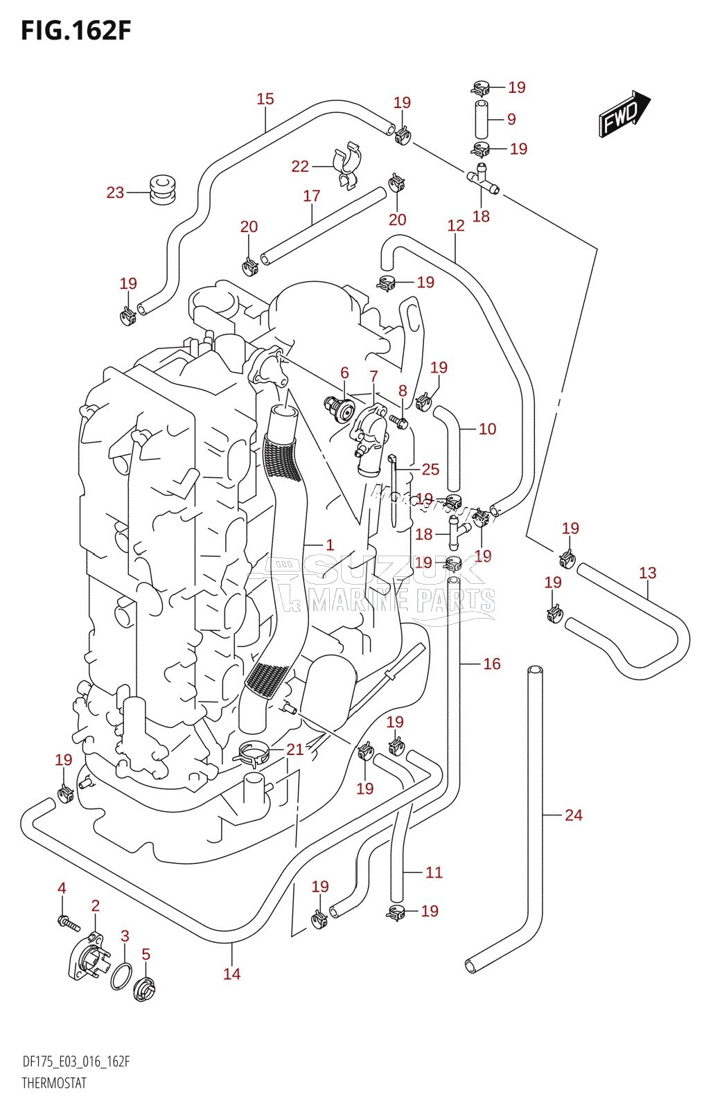 THERMOSTAT (DF175TG:E03)