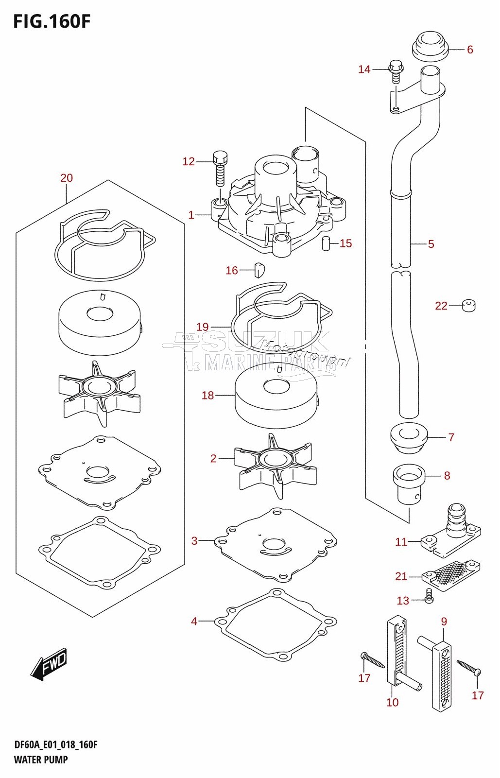 WATER PUMP (DF50AVT:E01,DF50AVTH:E01)