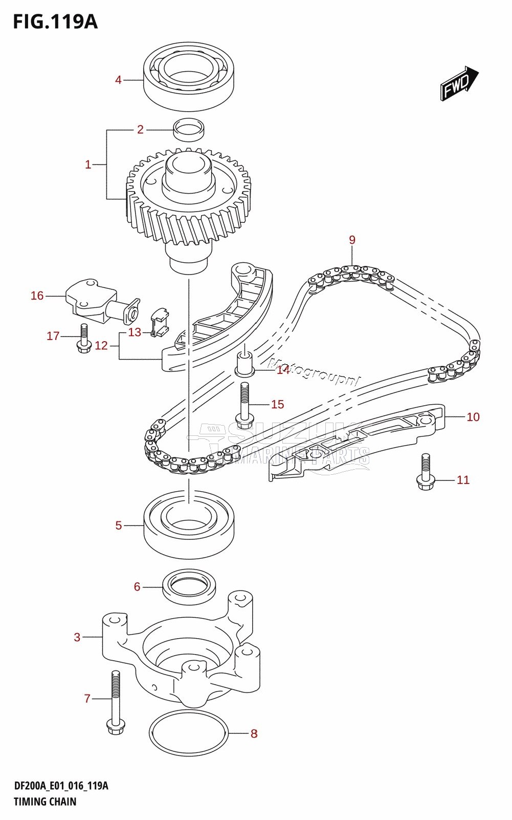 TIMING CHAIN