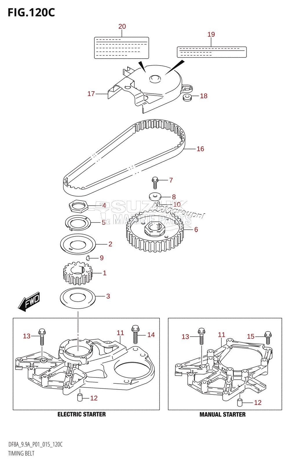 TIMING BELT (DF9.9A:P01)