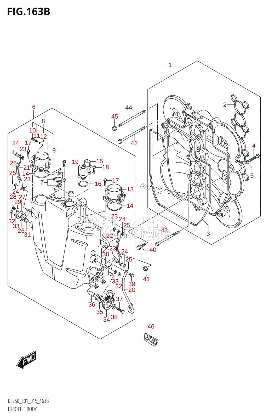 THROTTLE BODY (DF200T:E40)