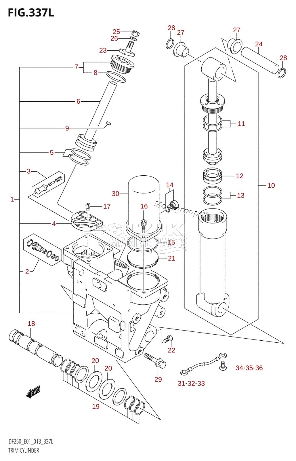 TRIM CYLINDER (DF250Z:E01:(X-TRANSOM,XX-TRANSOM))