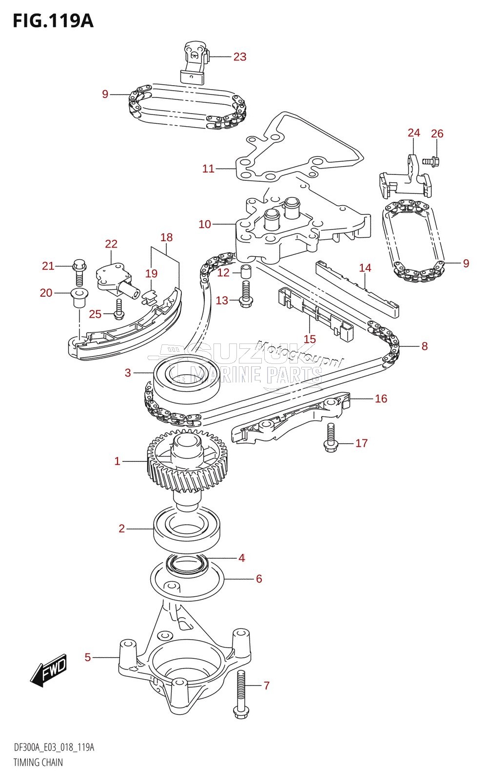 TIMING CHAIN