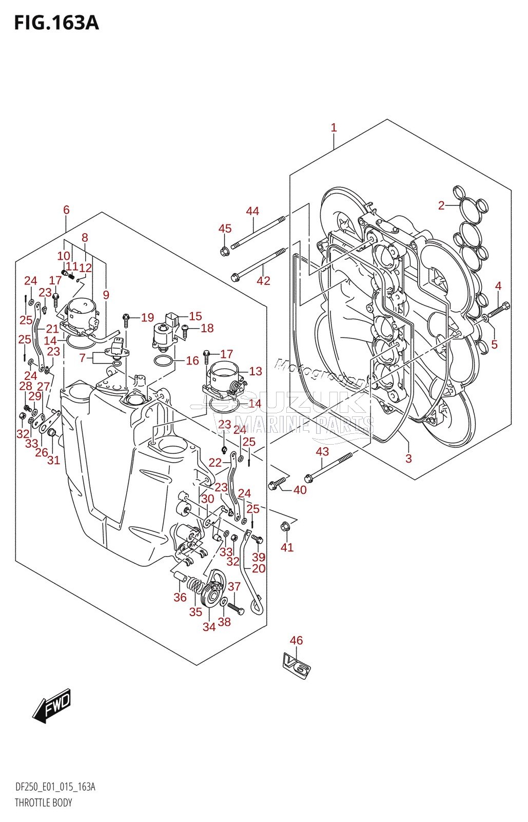 THROTTLE BODY (DF200T:E01)