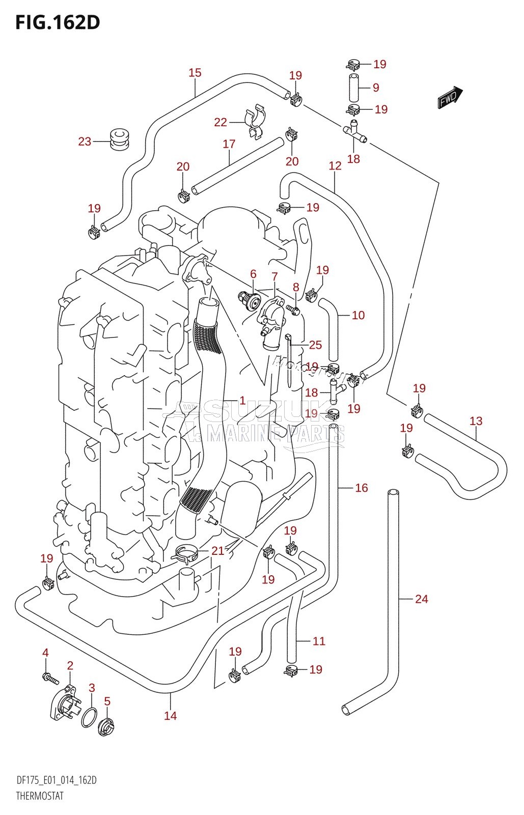 THERMOSTAT (DF150TG:E40)