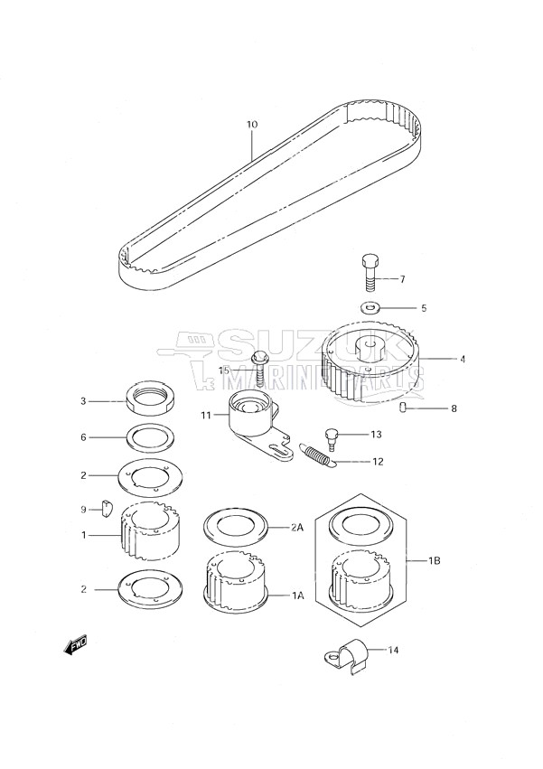 Timing Belt