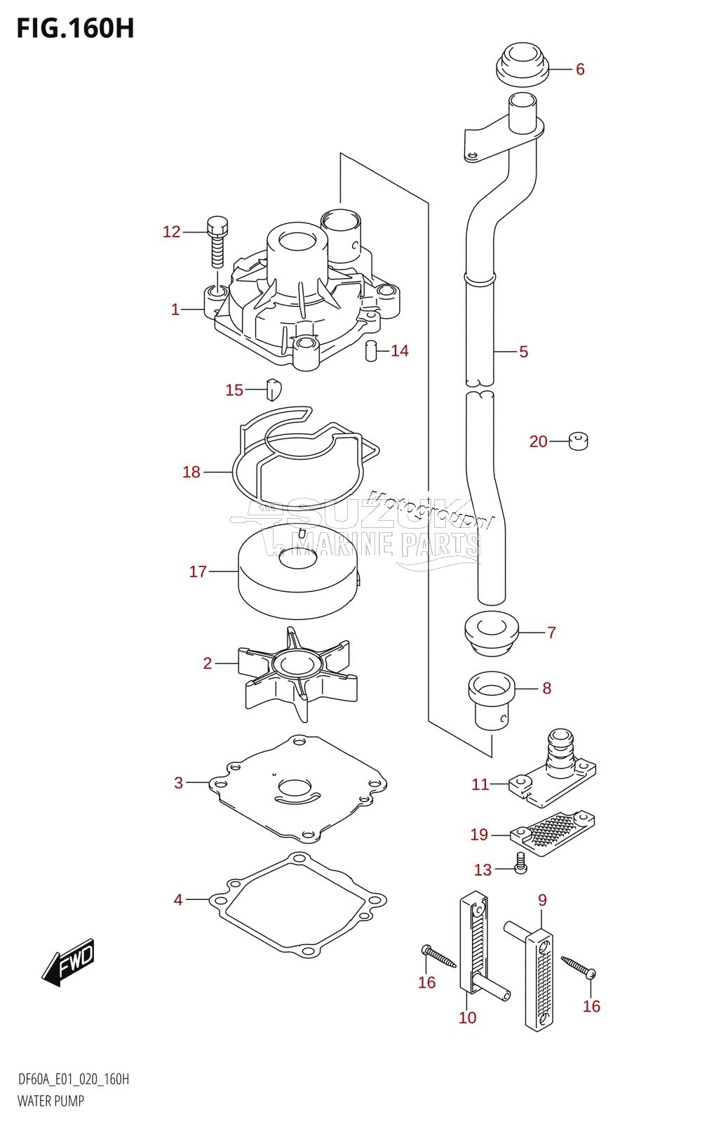 WATER PUMP (DF60AVT:E40,DF60AVTH:E40)