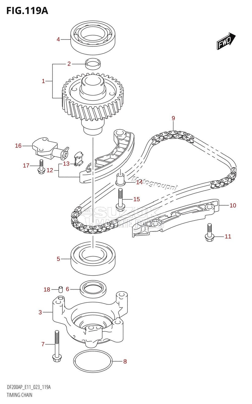 TIMING CHAIN