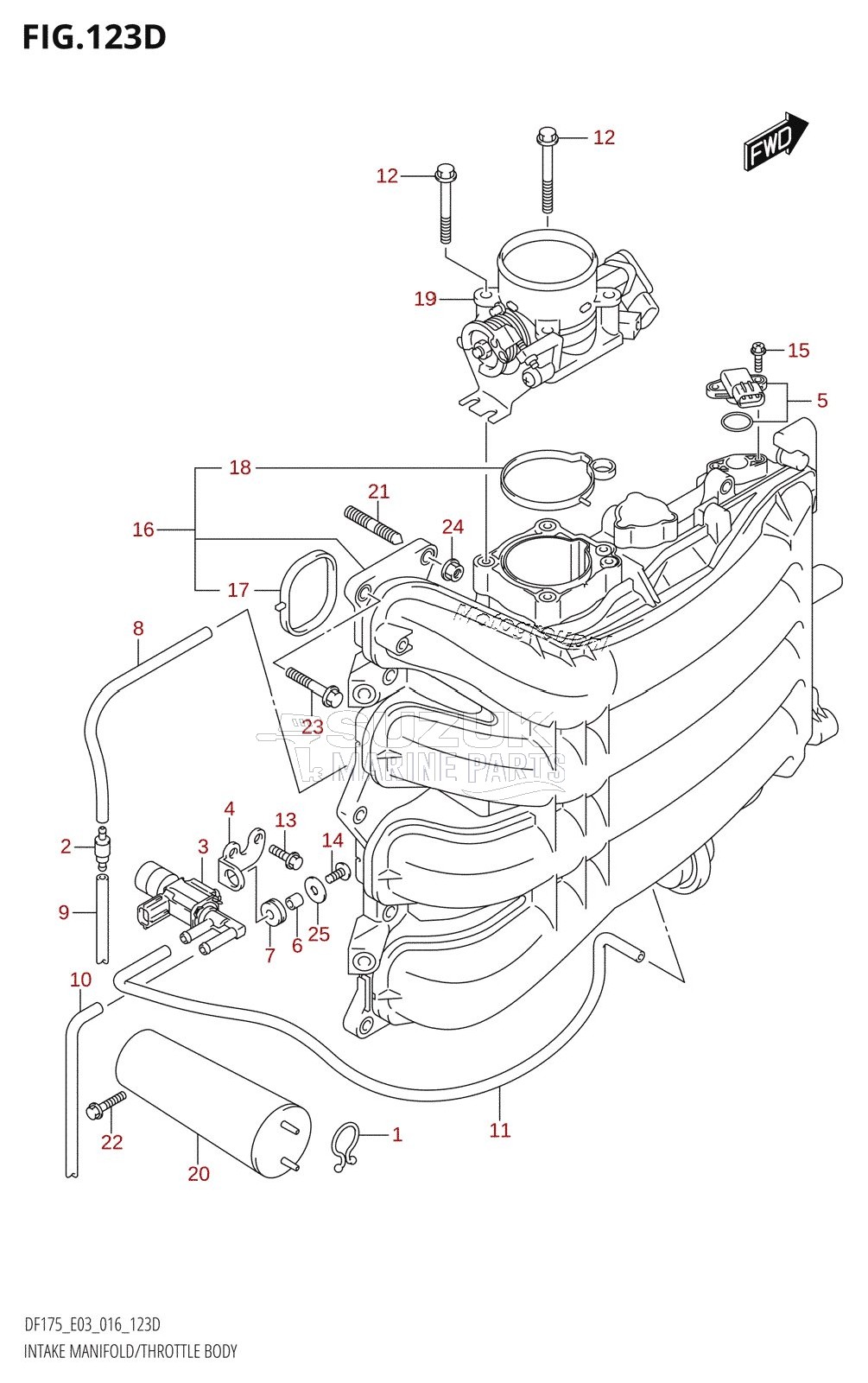 INTAKE MANIFOLD /​ THROTTLE BODY (DF150ZG:E03)