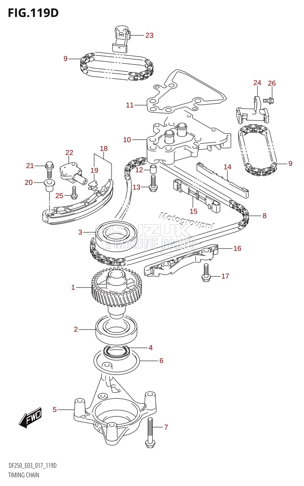 TIMING CHAIN (DF225Z:E03)